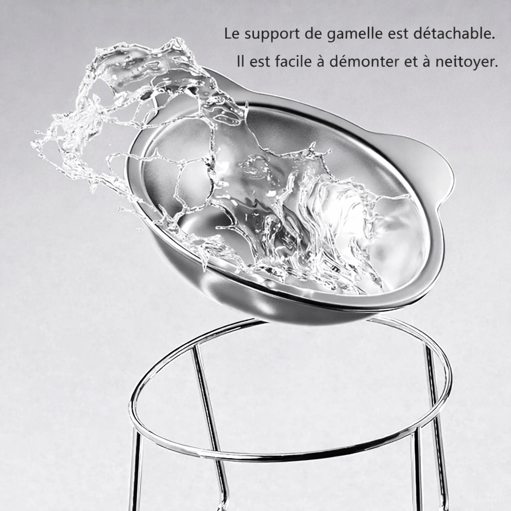 Gamelle Surélevée en Acier Inoxydable