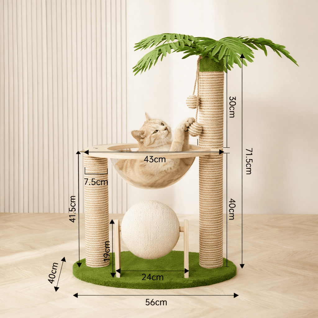 Griffoir Cocotier pour Chat