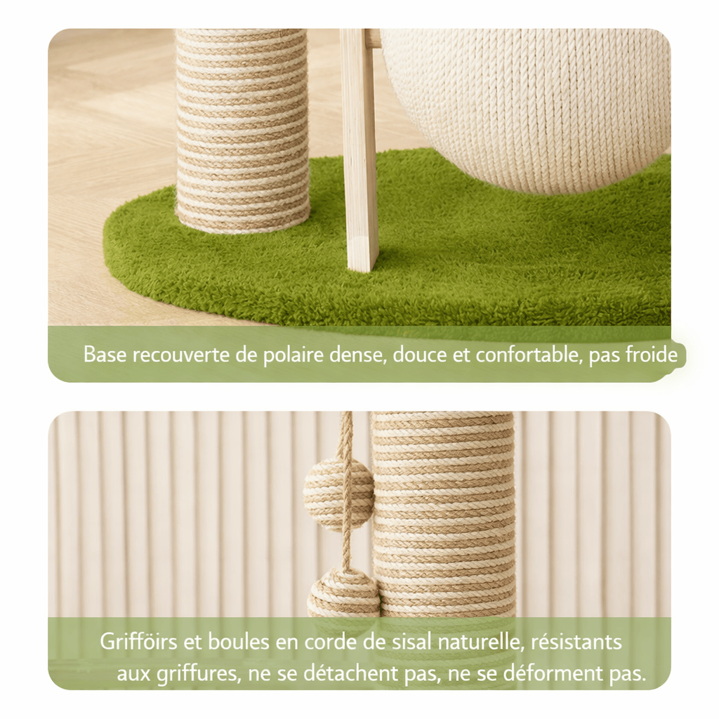 Griffoir Cocotier pour Chat