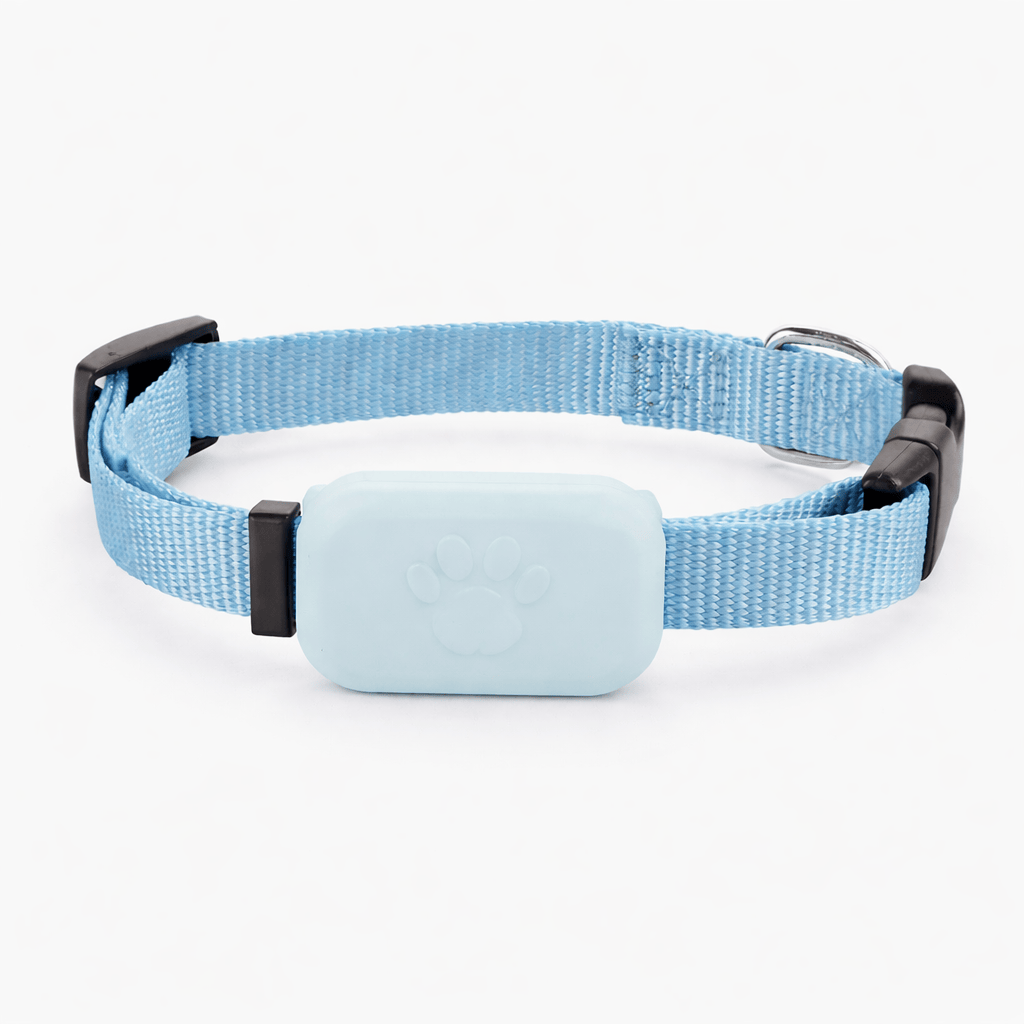 Traceur GPS Bluetooth pour Chat