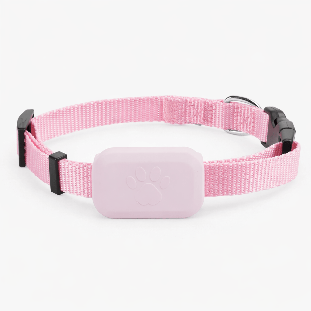Traceur GPS Bluetooth pour Chat