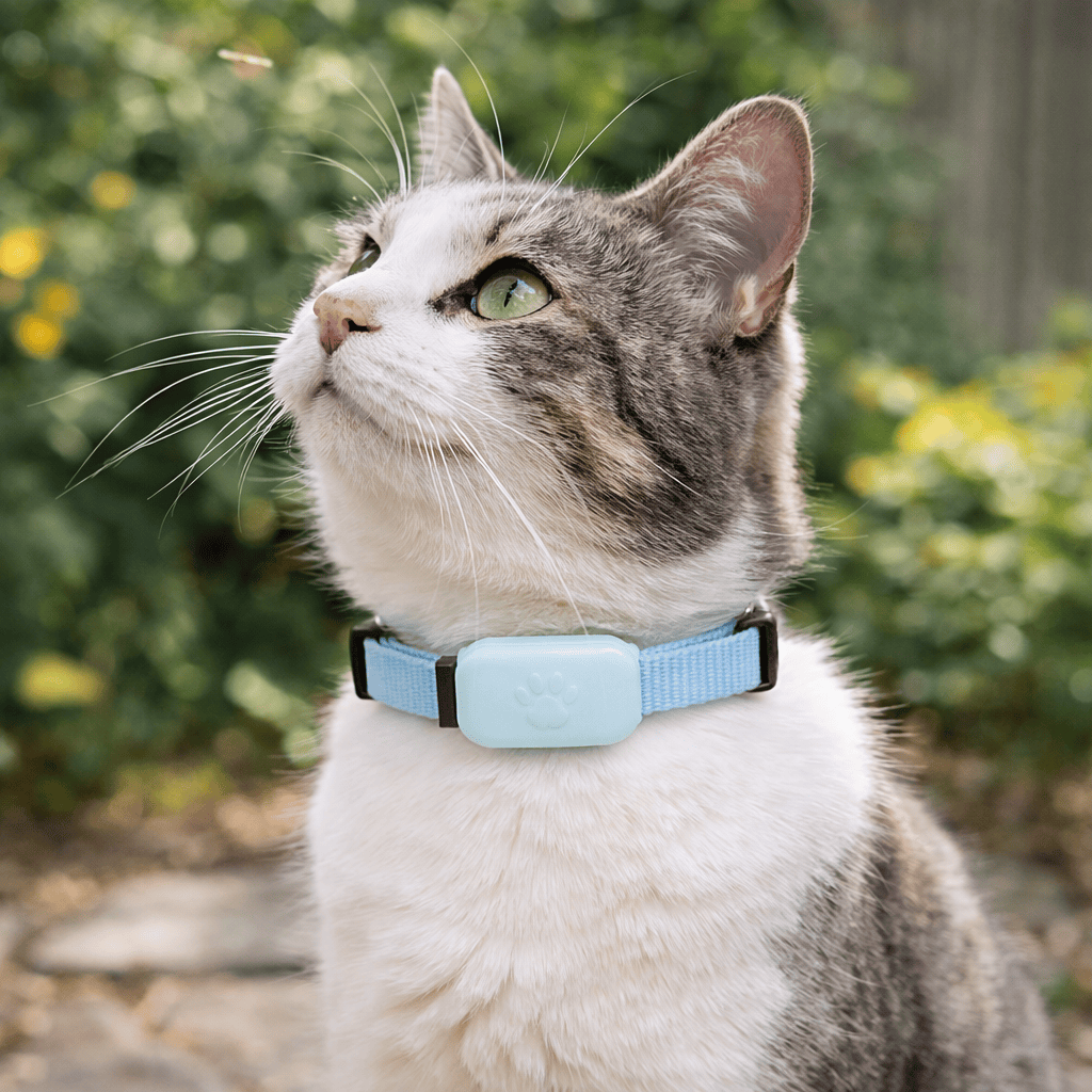 Traceur GPS Bluetooth pour Chat