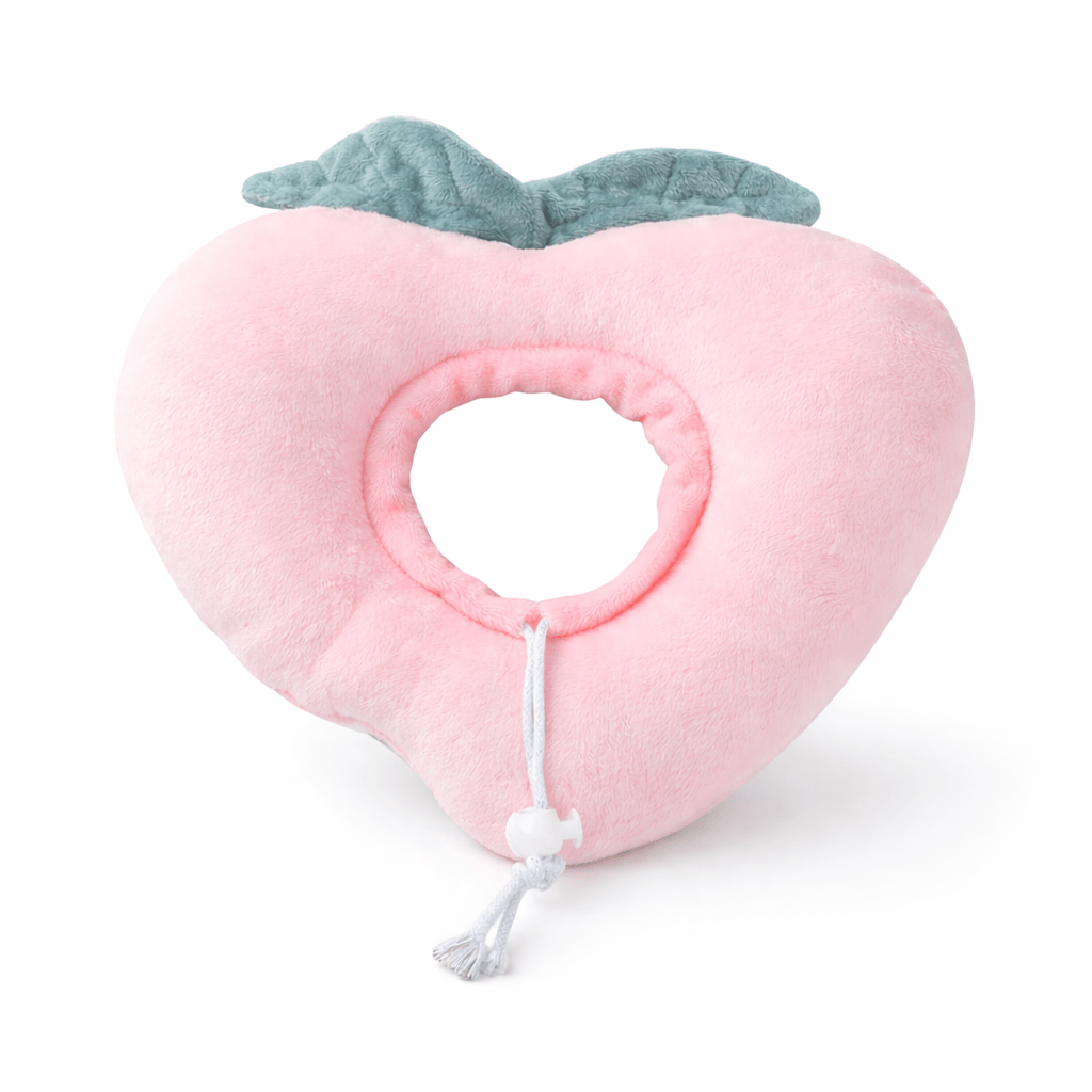 Collier Elisabéthain en Coton en Forme d'Aliment