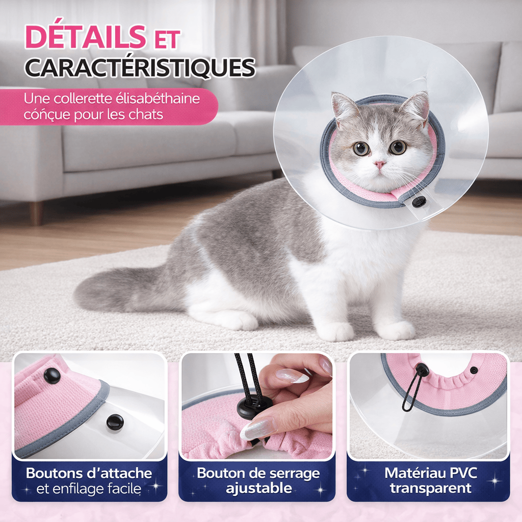 Colliers et Cônes de Convalescence pour Chats