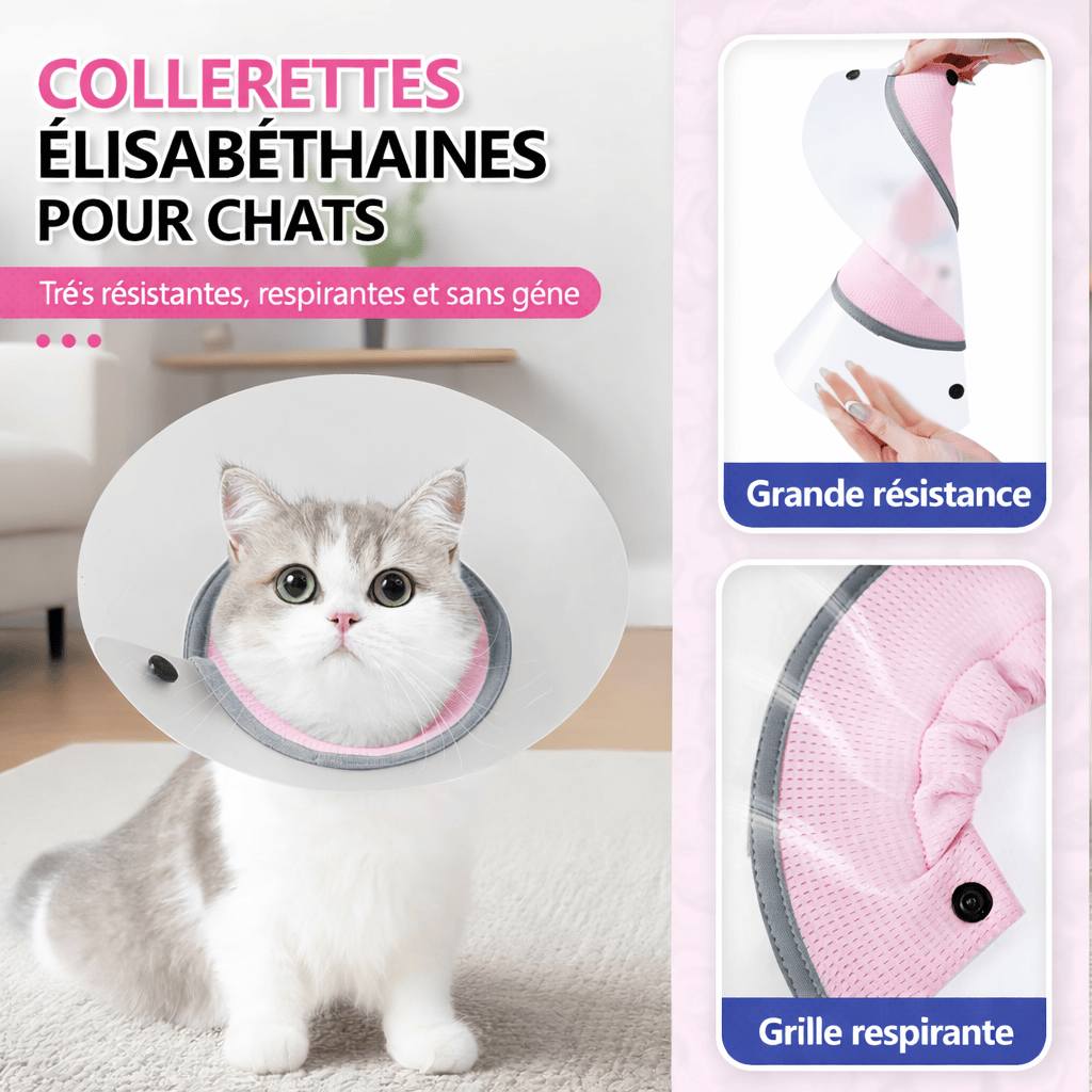 Colliers et Cônes de Convalescence pour Chats