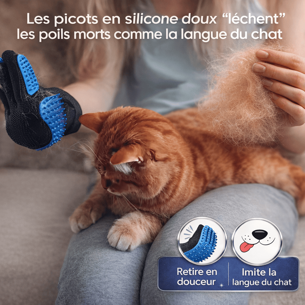 Gant de Toilettage Gauche et Droite pour Chat
