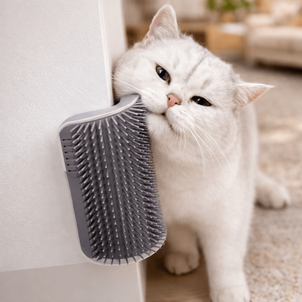 Masseur pour Chat en Polypropylène