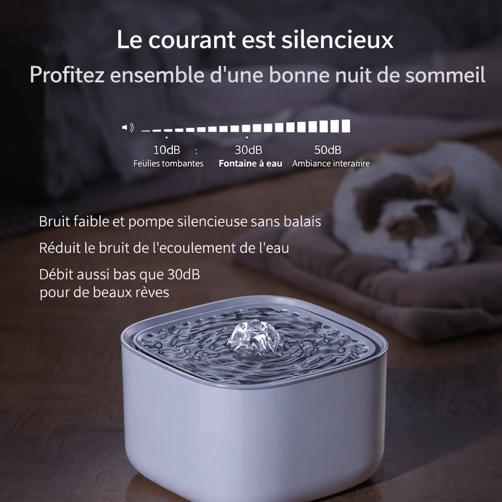 Fontaine à Eau pour Chat 3L avec Filtre à Recirculation