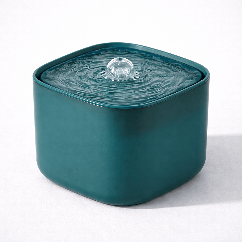 Fontaine à Eau pour Chat 3L avec Filtre à Recirculation