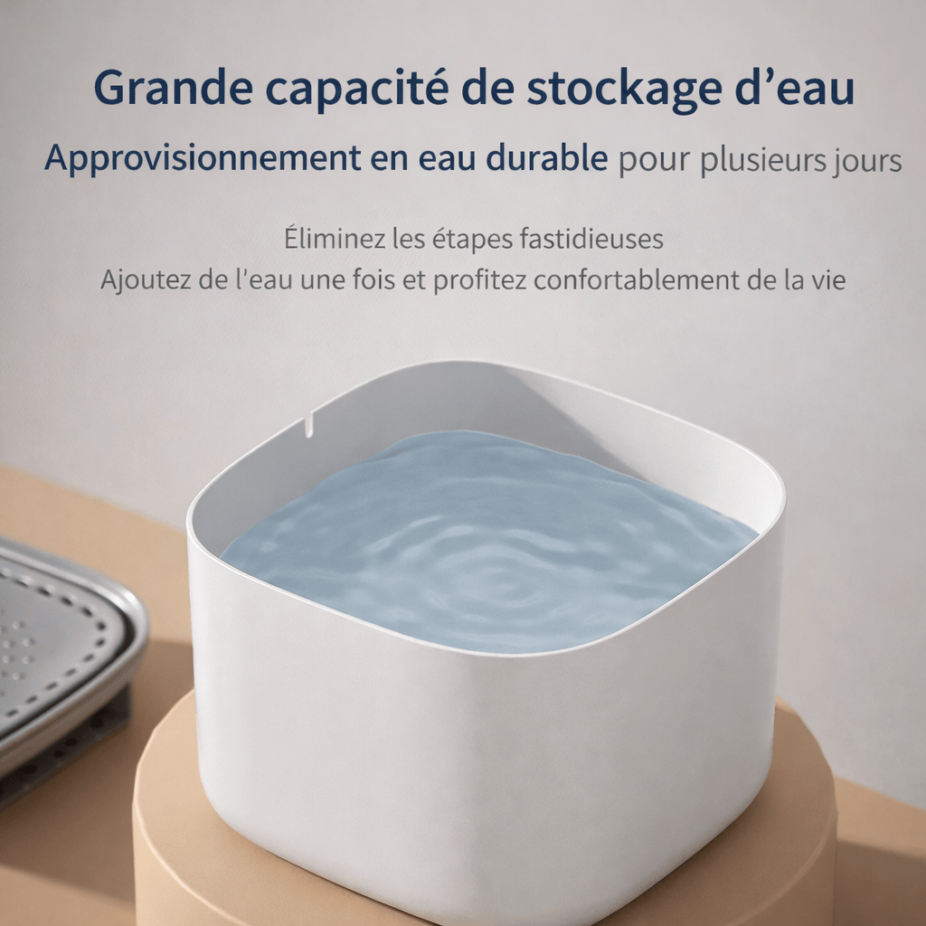 Fontaine à Eau pour Chat 3L avec Filtre à Recirculation