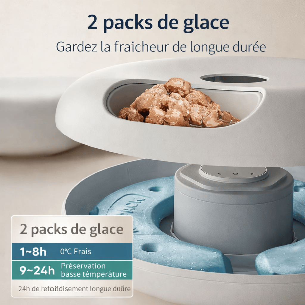 Distributeur Automatique de Croquettes 6 Repas pour Chats