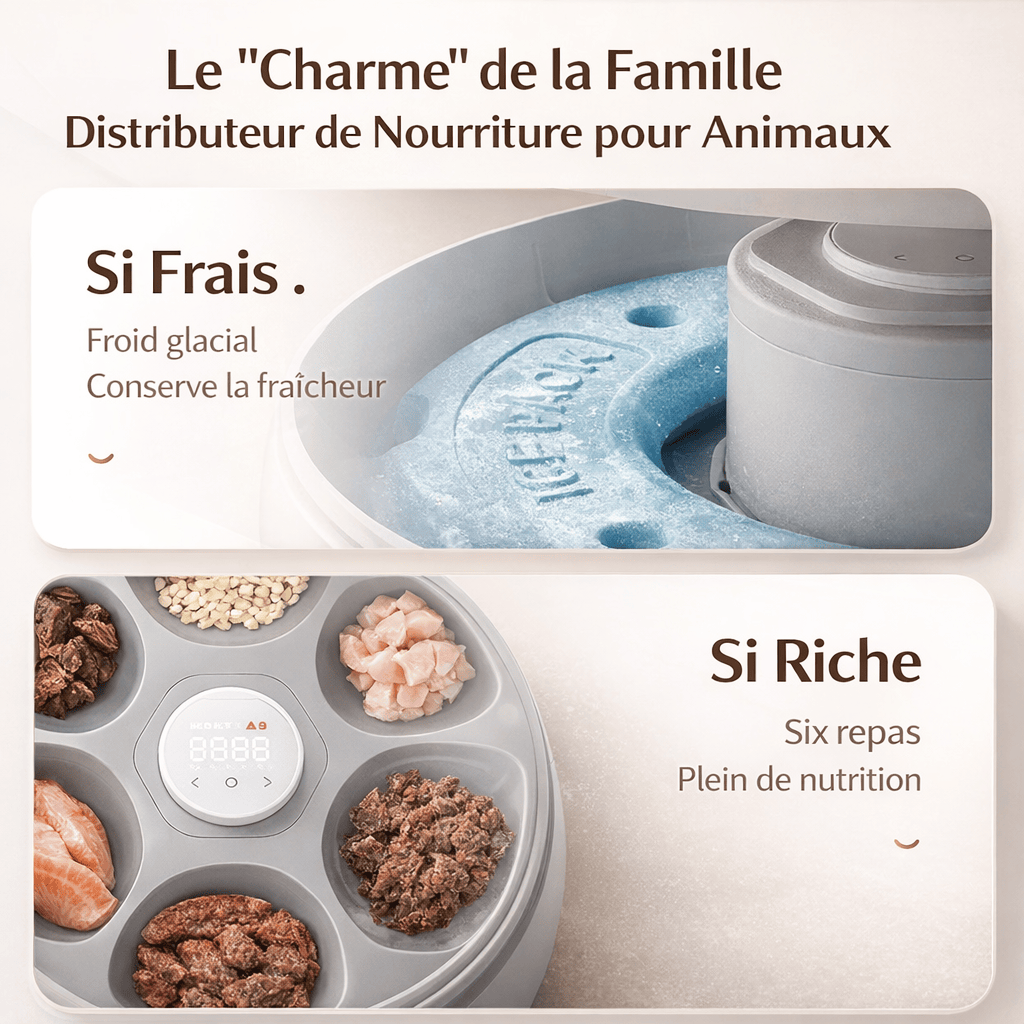 Distributeur Automatique de Croquettes 6 Repas pour Chats
