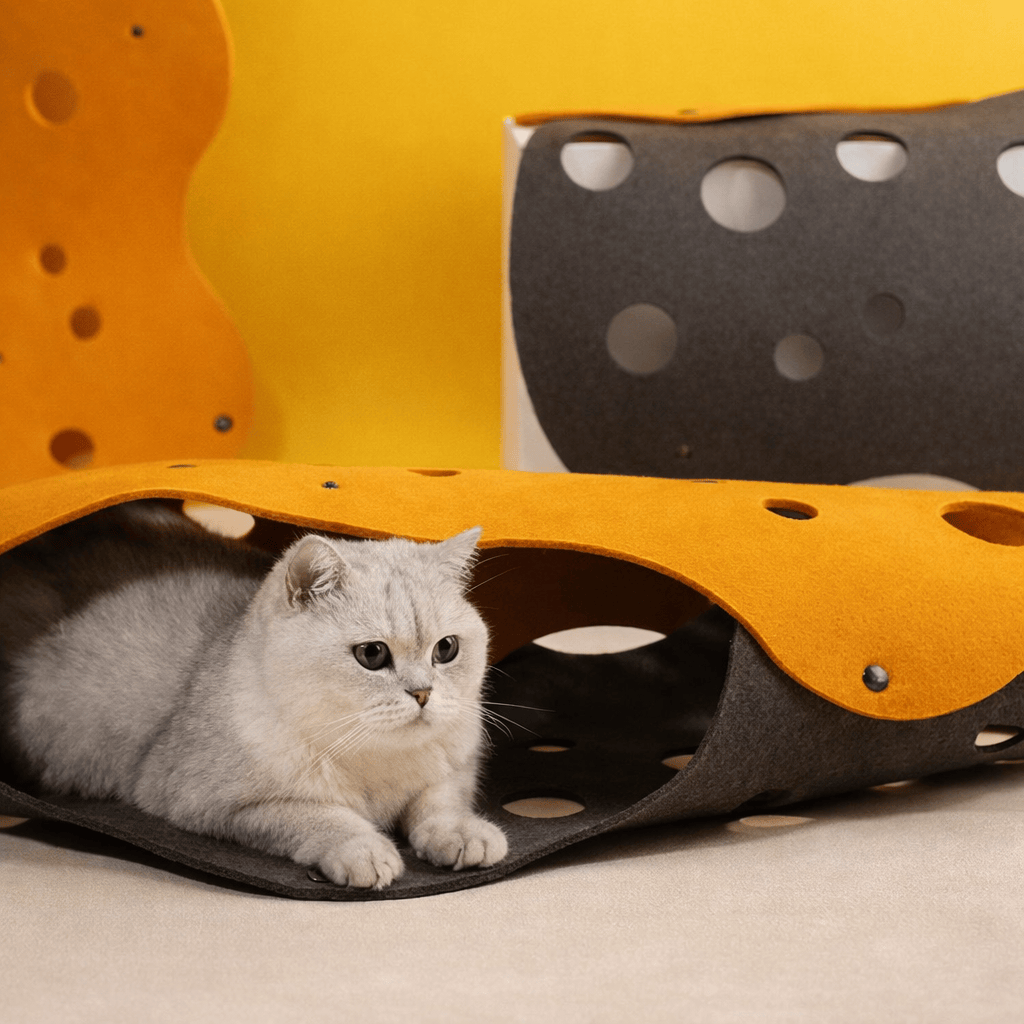 Tunnel Déformable pour Chat