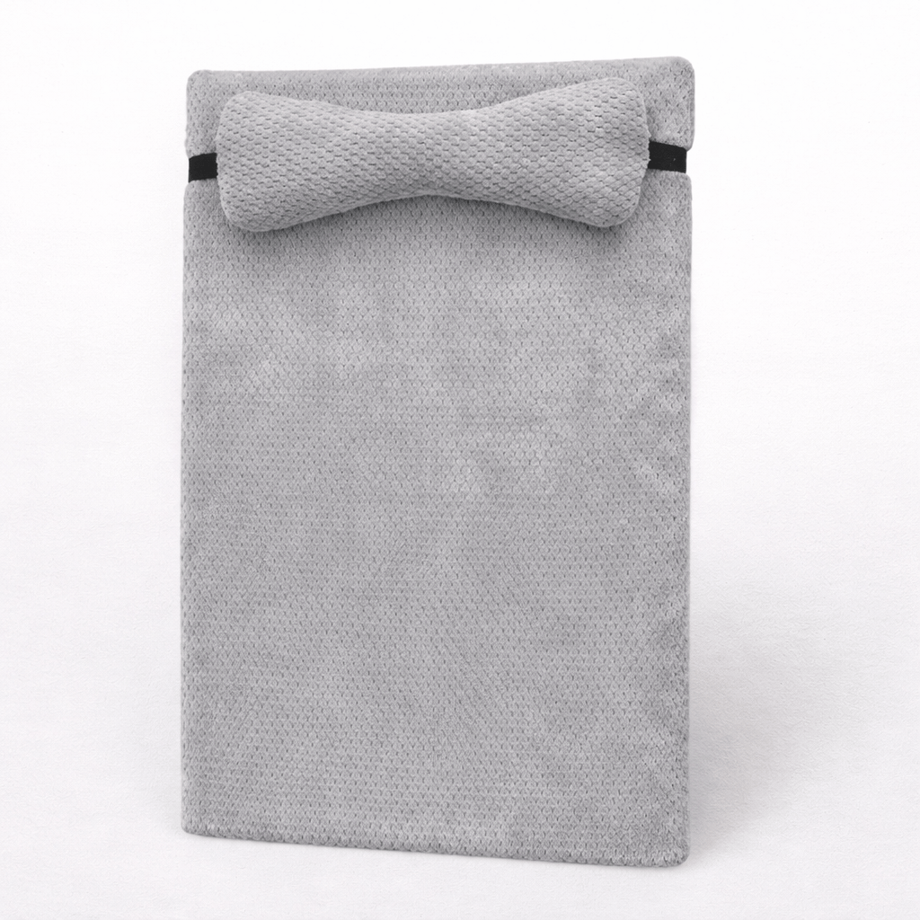 Lit pour Chat en Eponge Plate Toutes Saisons avec Oreiller