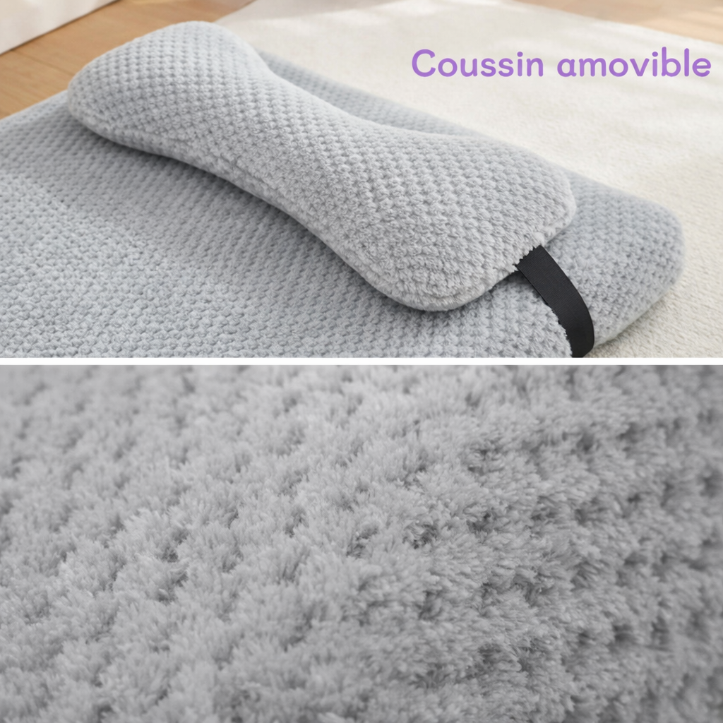 Lit pour Chat en Eponge Plate Toutes Saisons avec Oreiller