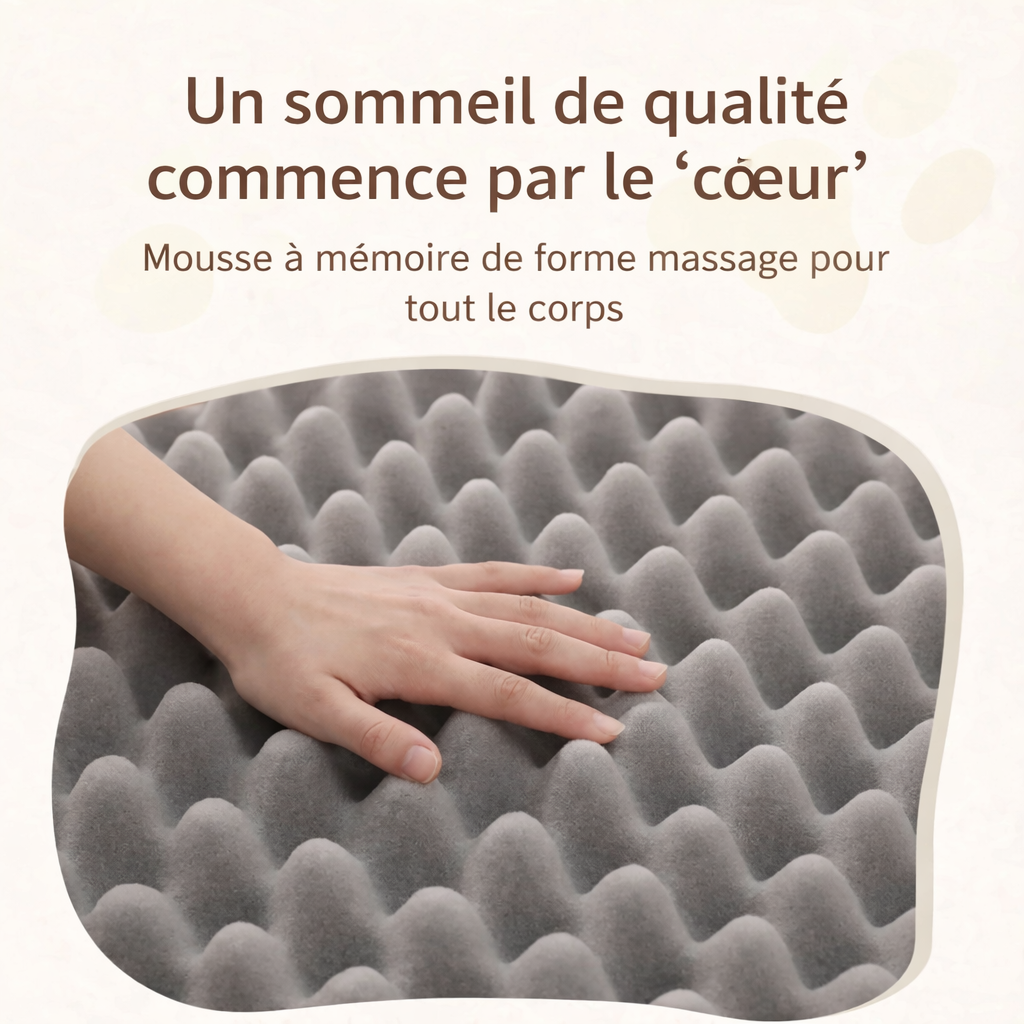 Lit pour Chat en Eponge Plate Toutes Saisons avec Oreiller