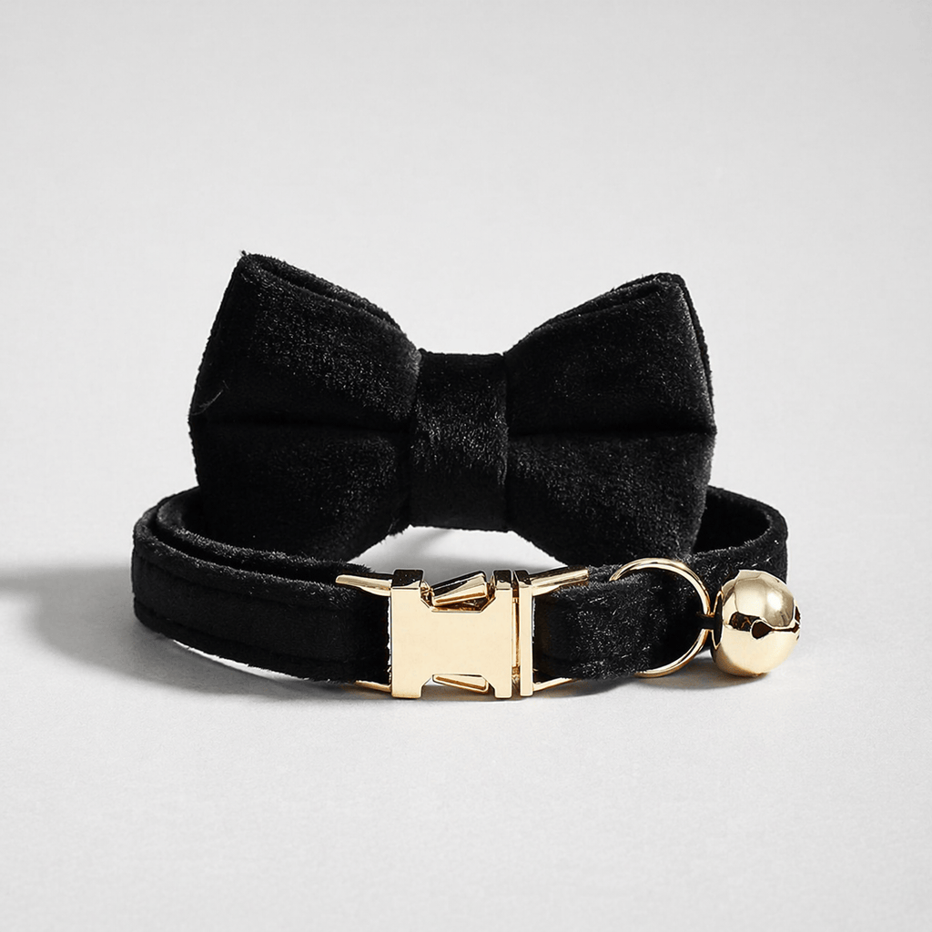Collier pour chat élégant et ajustable avec nœud papillon.