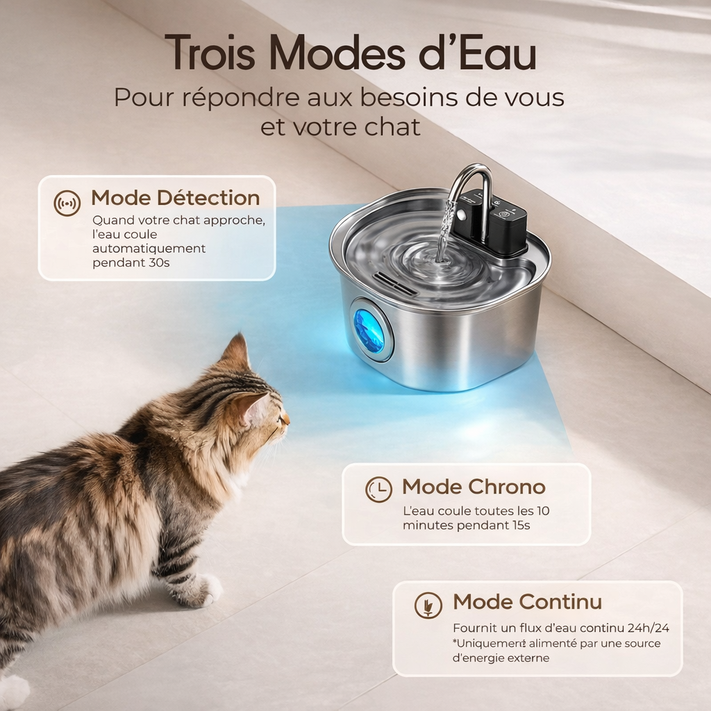 Fontaine à Eau Inox Automatique Sans Fil 3L
