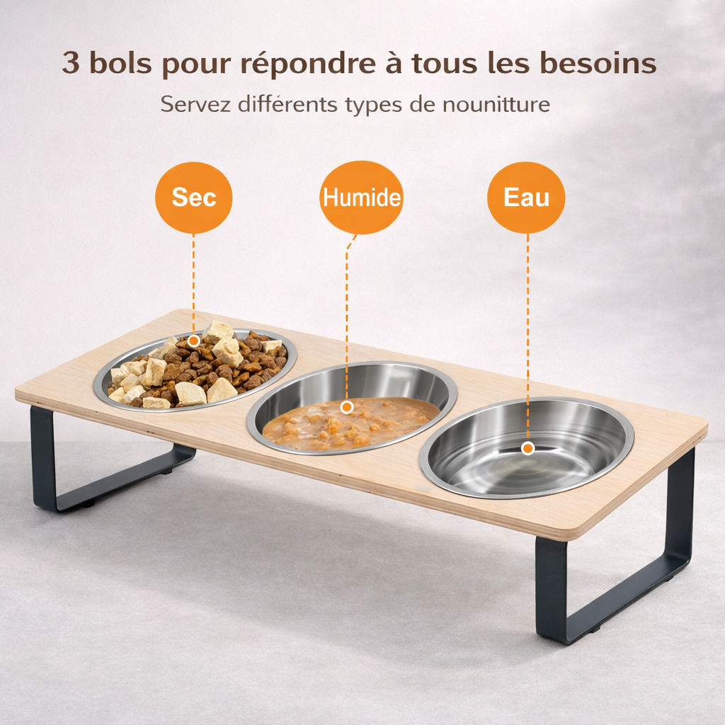 Gamelle Surélevée pour Chat 3 en 1
