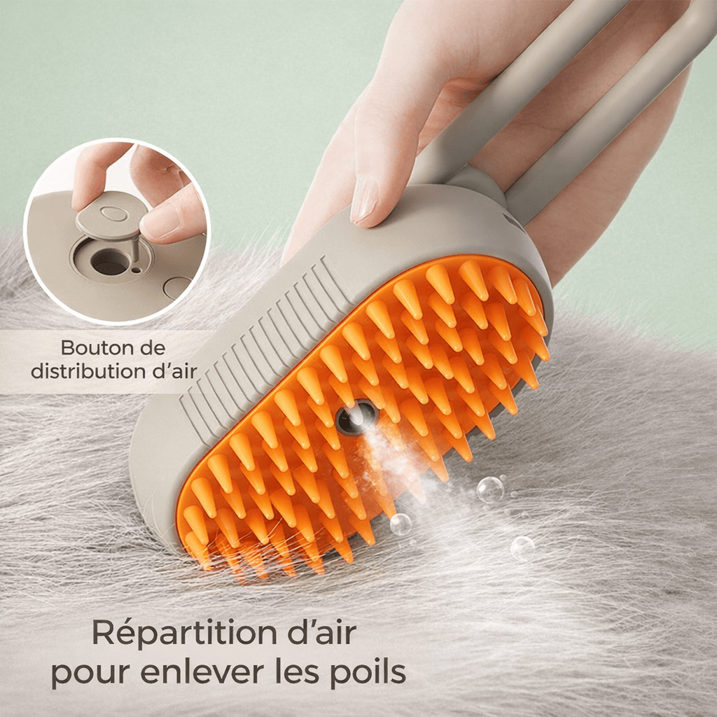 Brosse Electrique 3 en 1 à Vapeur