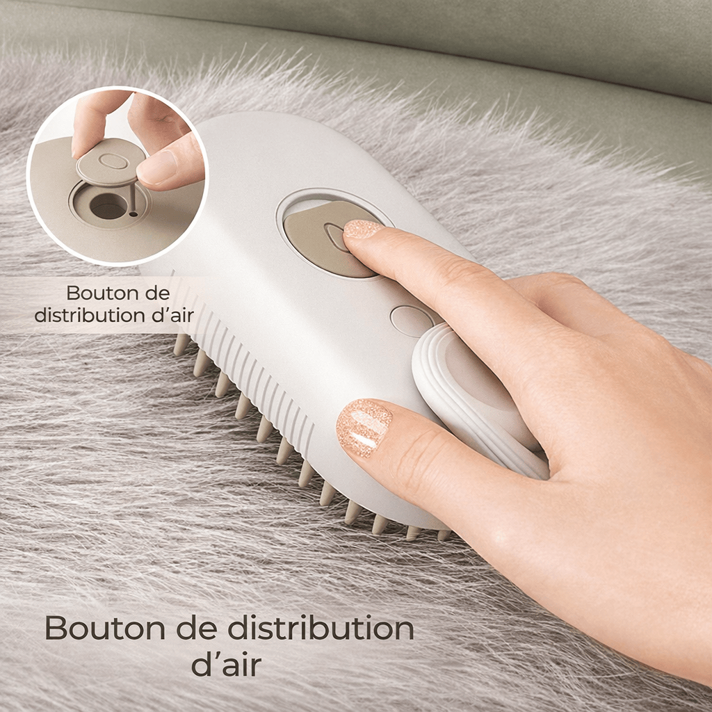 Brosse Electrique 3 en 1 à Vapeur