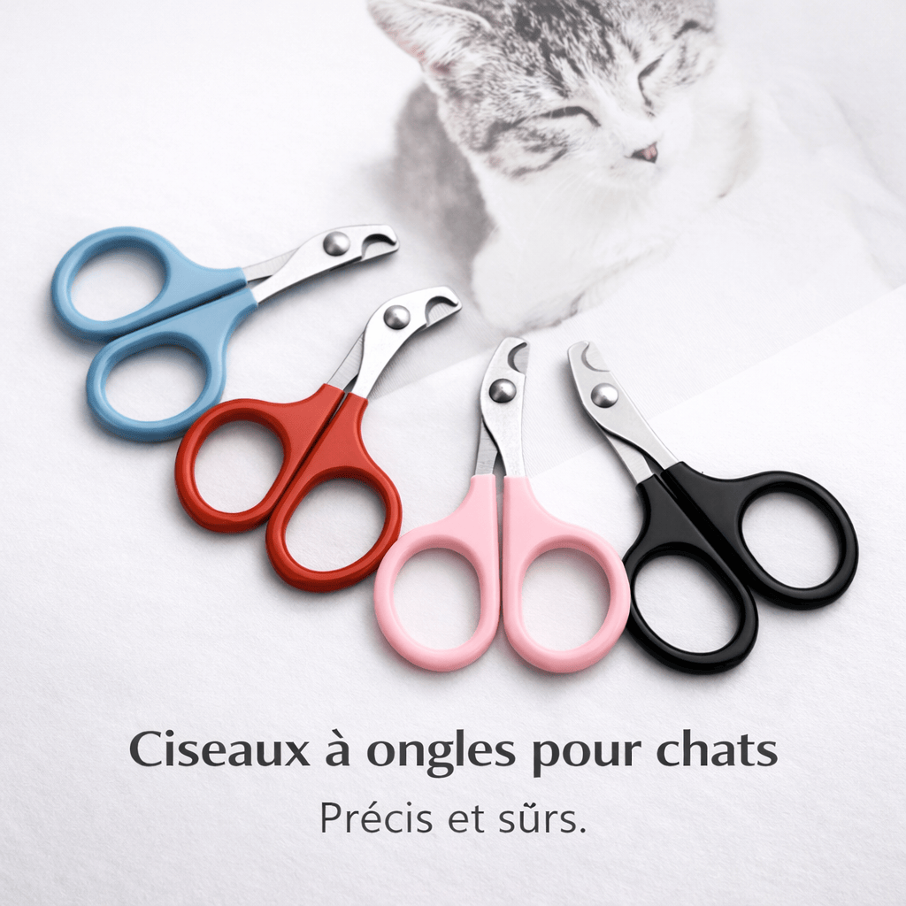 Ciseaux à Ongles Professionnels pour Chat
