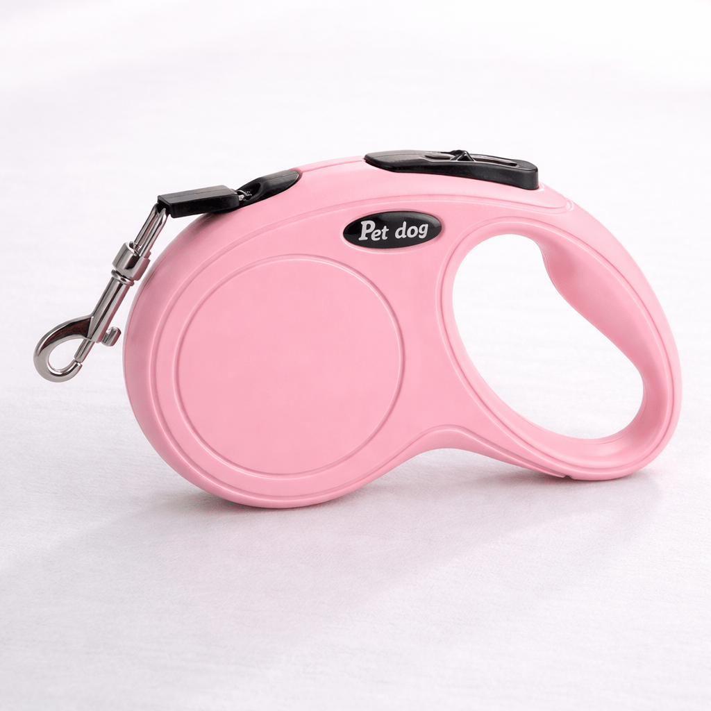Laisse pour Chats 5M
