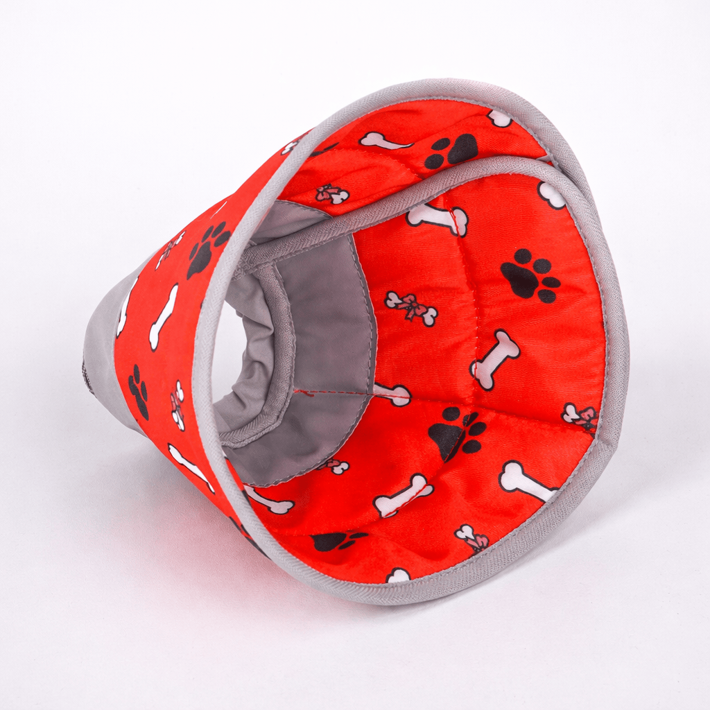 Collier de Convalescence Souple pour Chat