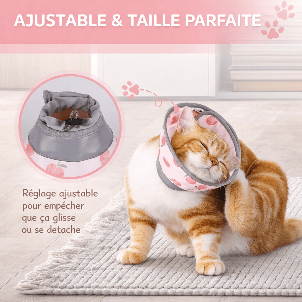 Collier de Convalescence Souple pour Chat