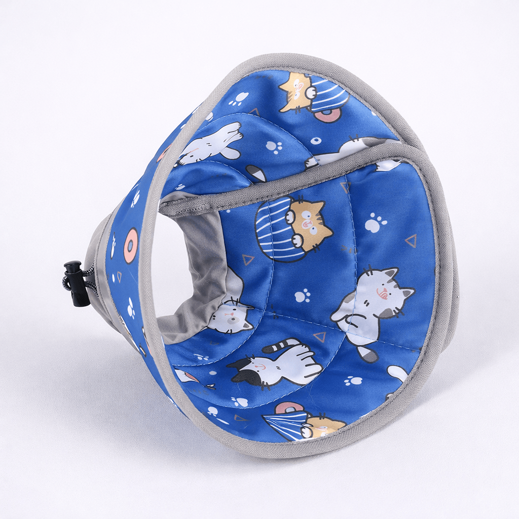 Collier de Convalescence Souple pour Chat