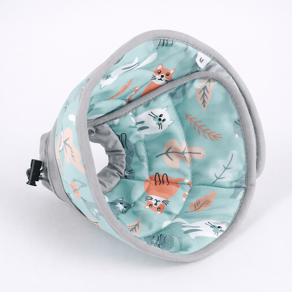 Collier de Convalescence Souple pour Chat