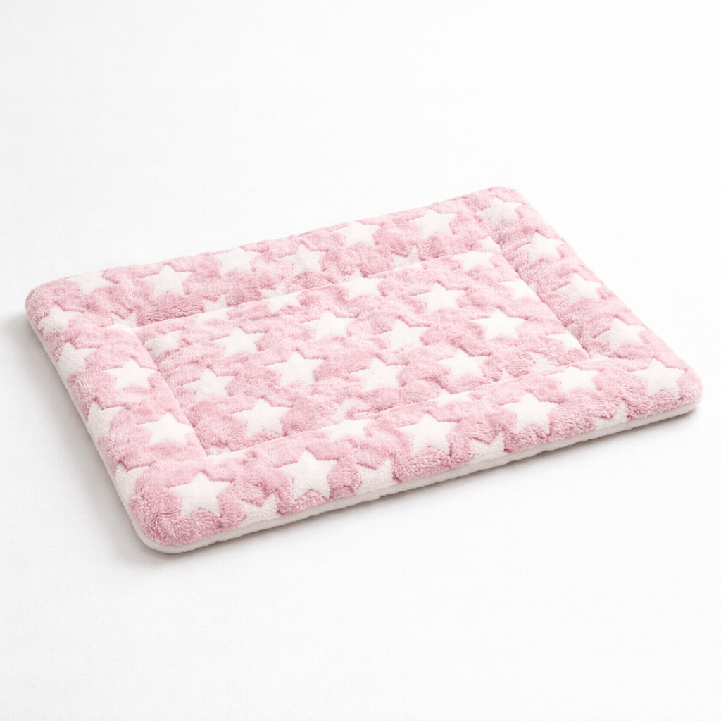 Coussin Epais, Confortable pour chat