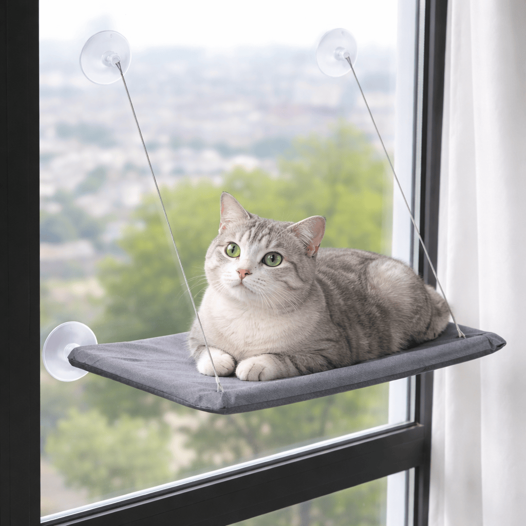 Hamac suspendu avec Ventouse pour Chat