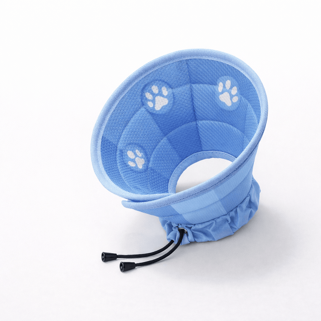 Collier Conique Ajustable pour Chat