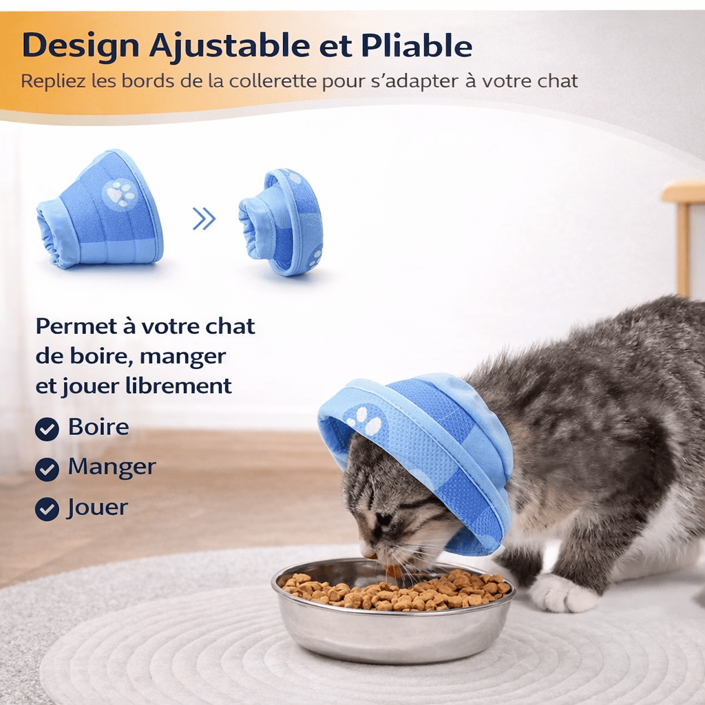 Collier Conique Ajustable pour Chat