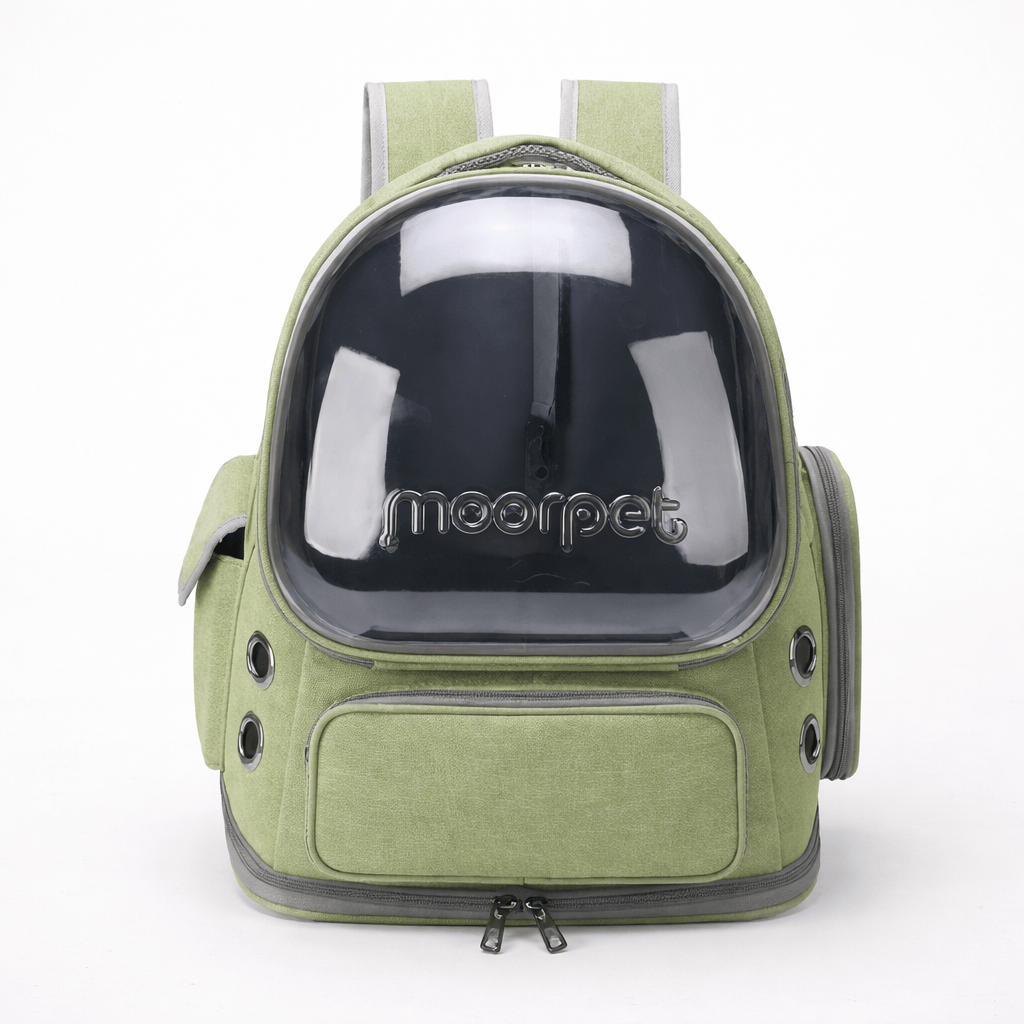 Sac à Dos Transparent pour Chat