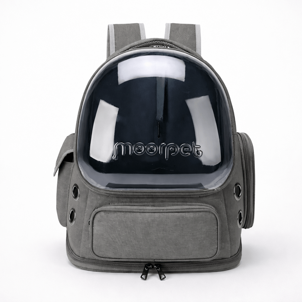 Sac à Dos Transparent pour Chat