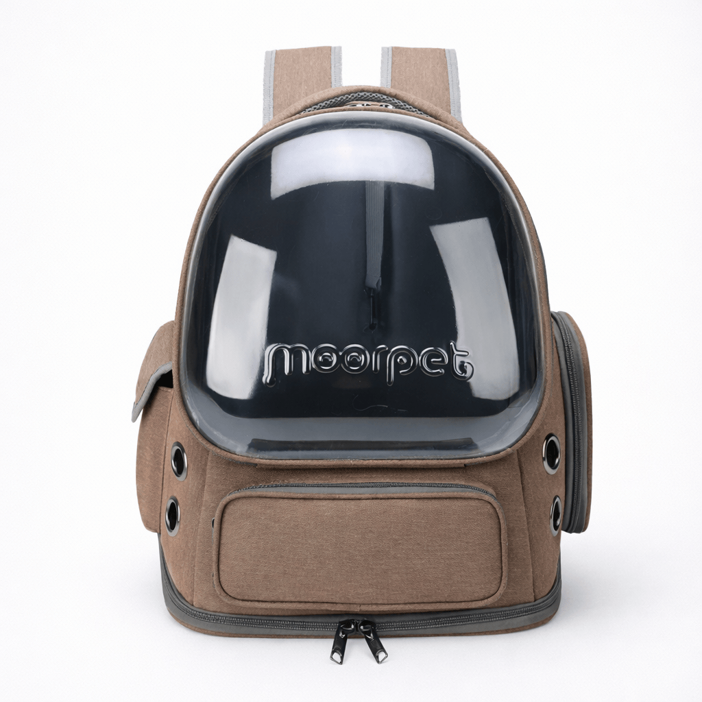 Sac à Dos Transparent pour Chat