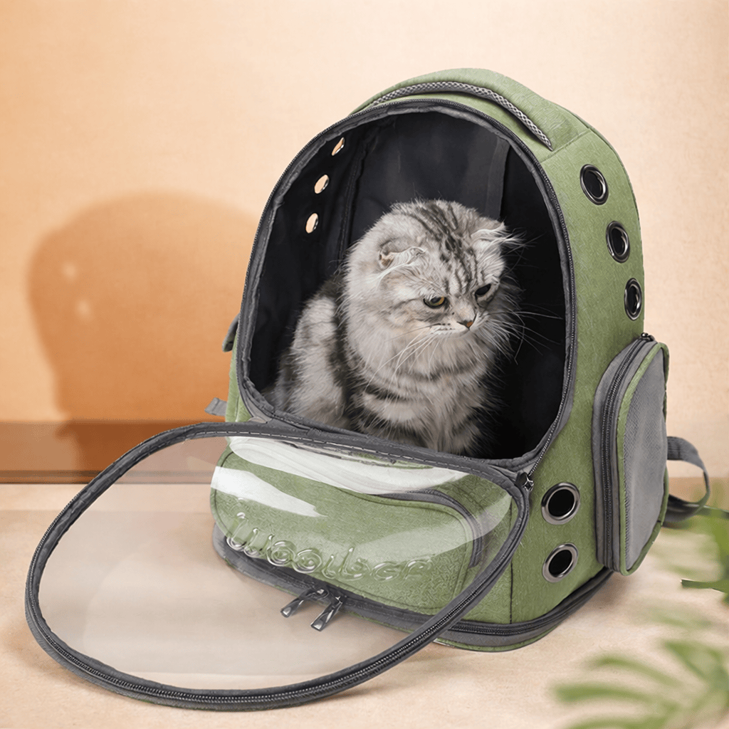 Sac à Dos Transparent pour Chat