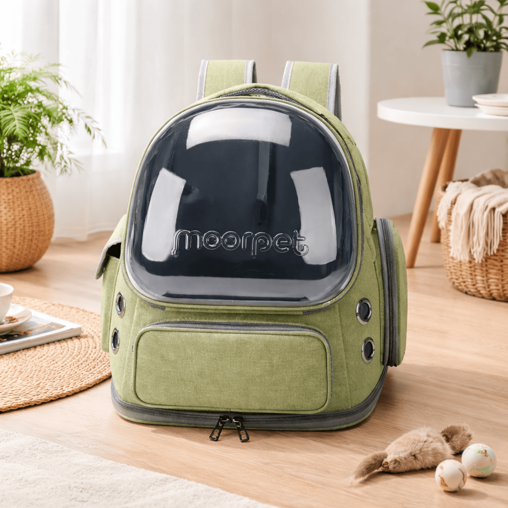 Sac à Dos Transparent pour Chat