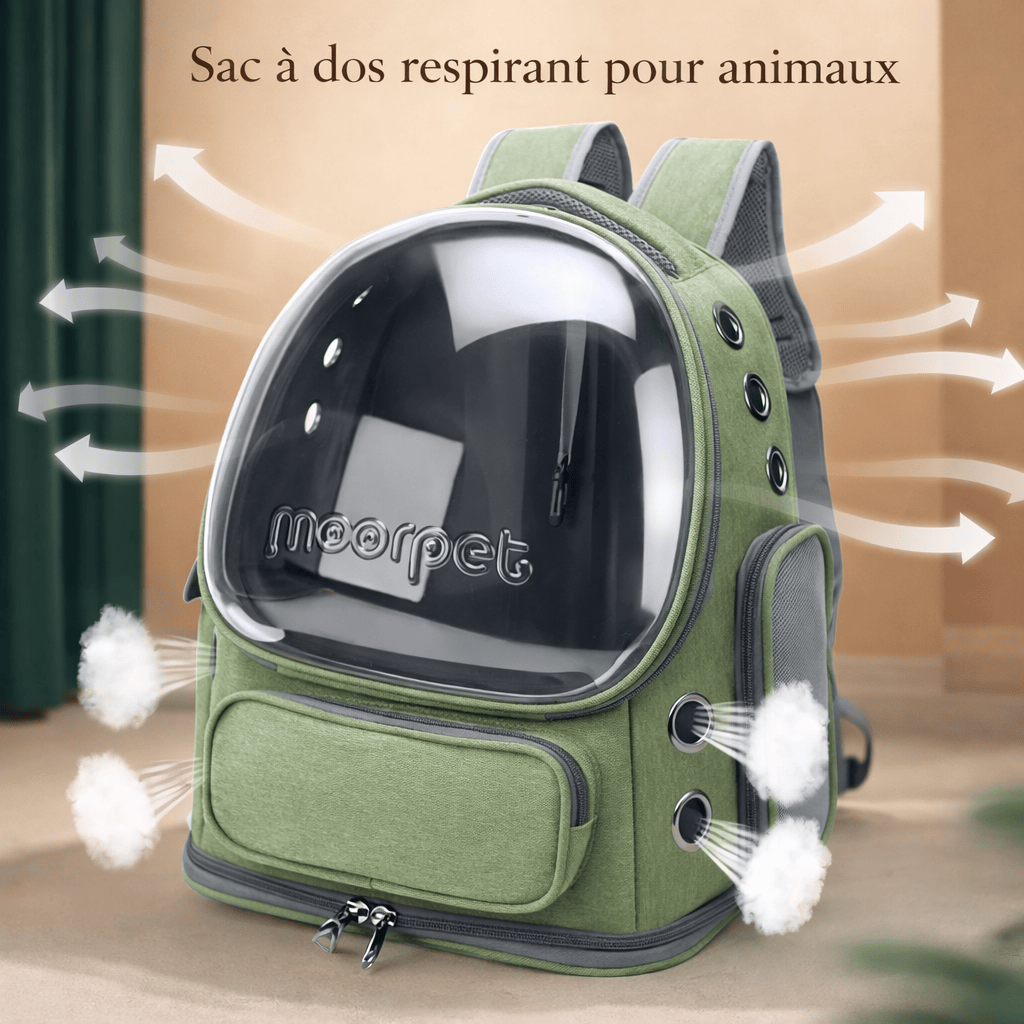 Sac à Dos Transparent pour Chat