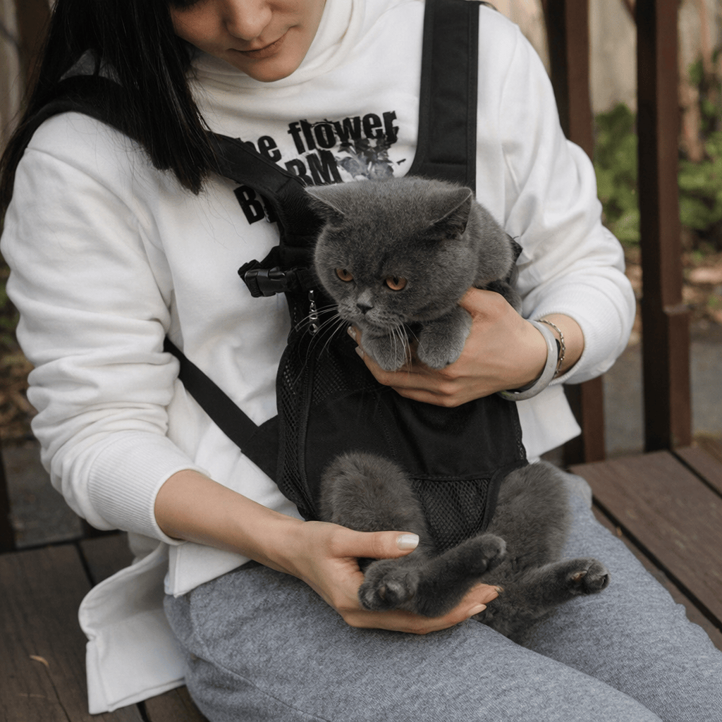 Sac à Dos Ouvert pour Chat