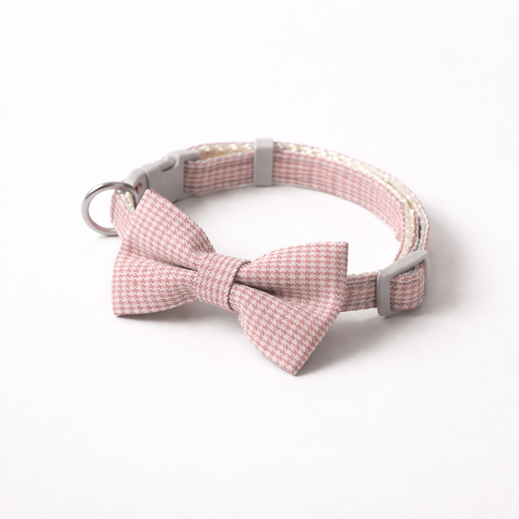 Collier Mignon pour Chat avec Nœud Papillon