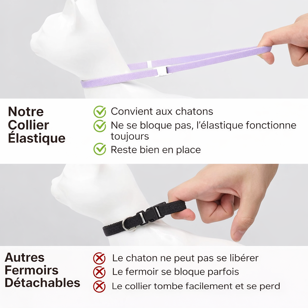 Collier Elastique Extensible pour Chat