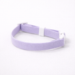 Collier Elastique Extensible pour Chat