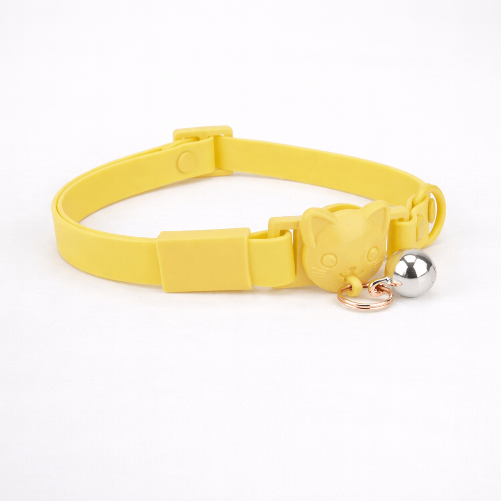 Collier Imperméable pour Chat avec Petite Clochette