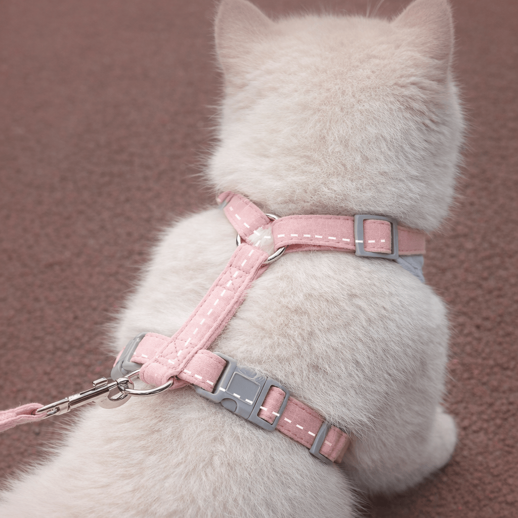 Harnais de Promenade pour Chat