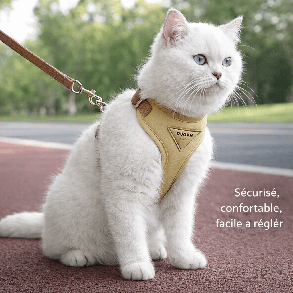 Harnais de Promenade pour Chat