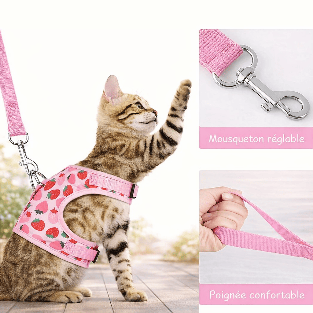 Harnais Anti-Fugue pour Chat