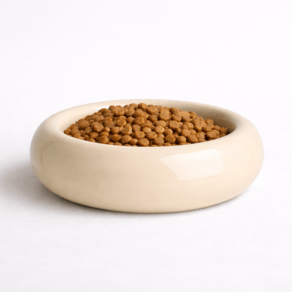 Gamelle pour Chat en Céramique en Forme de Donut